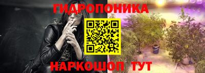индика Кимры
