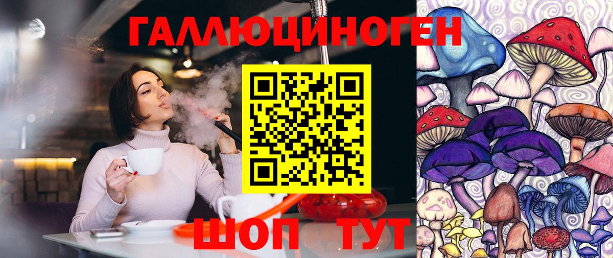 Галлюциногенные грибы мухоморы Волхов