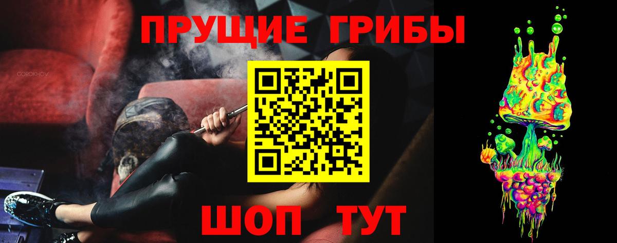 Волхов  Псилоцибиновые грибы мицелий  Вход с VPN 